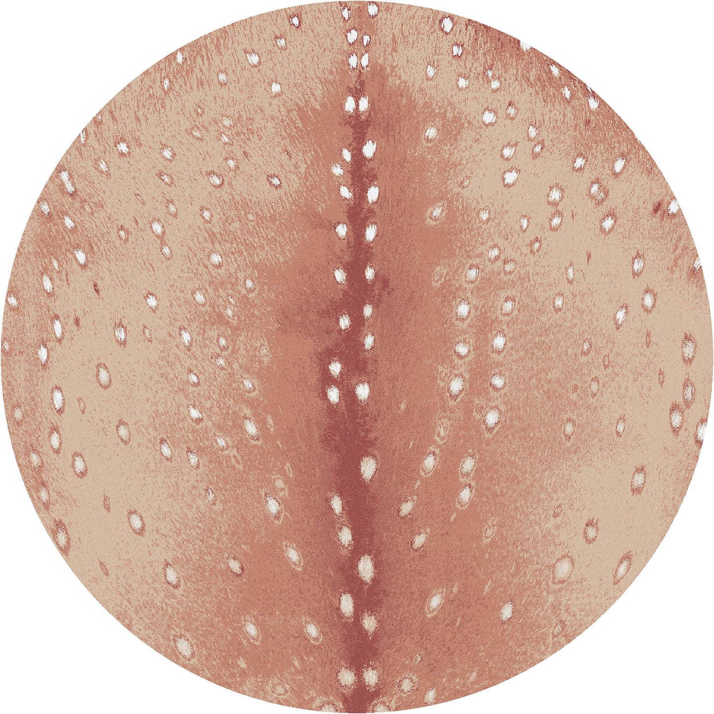 Spotted Hide Rug – Blush – close up