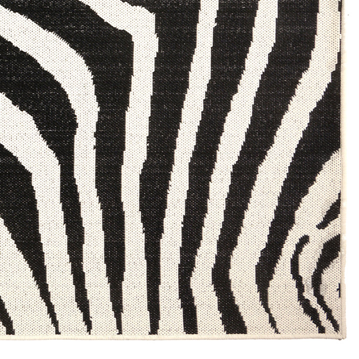 Cape Town Black Rug – lifestyle
