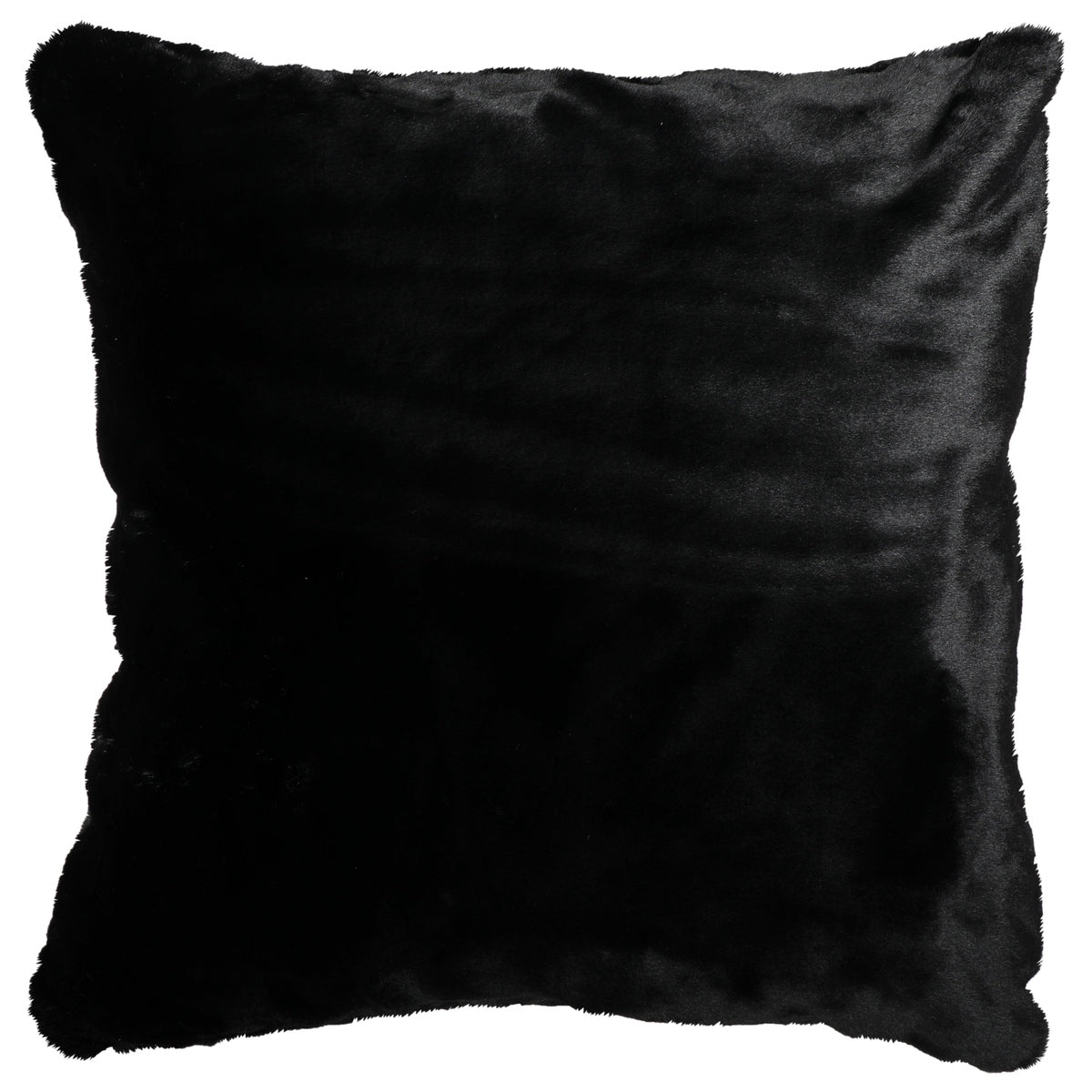 Black Bear Euro Sham Retreat Home Furniture
