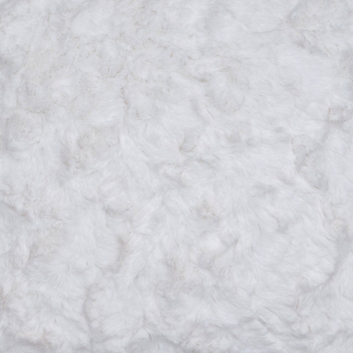 Bella Cream - Wooded River Fabric by the Yard - Grade 10