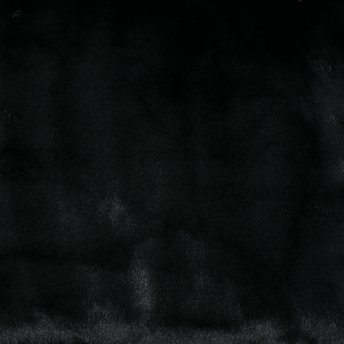Black Bear - Wooded River Fabric by the Yard - Grade 40