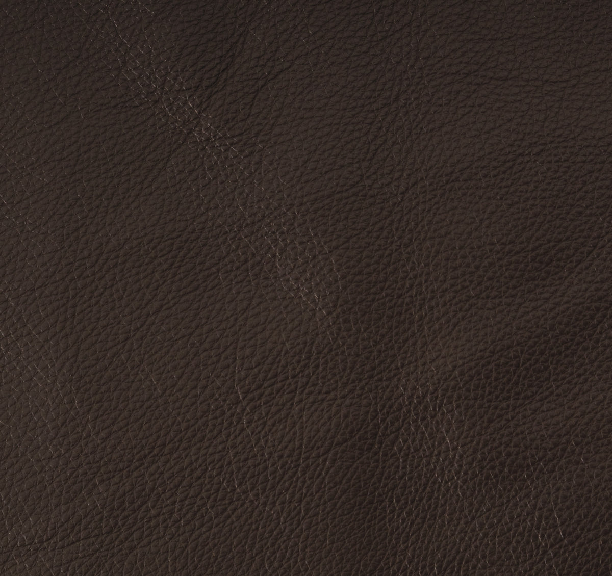 Evolution Java - Wooded River Leather by the Square Foot