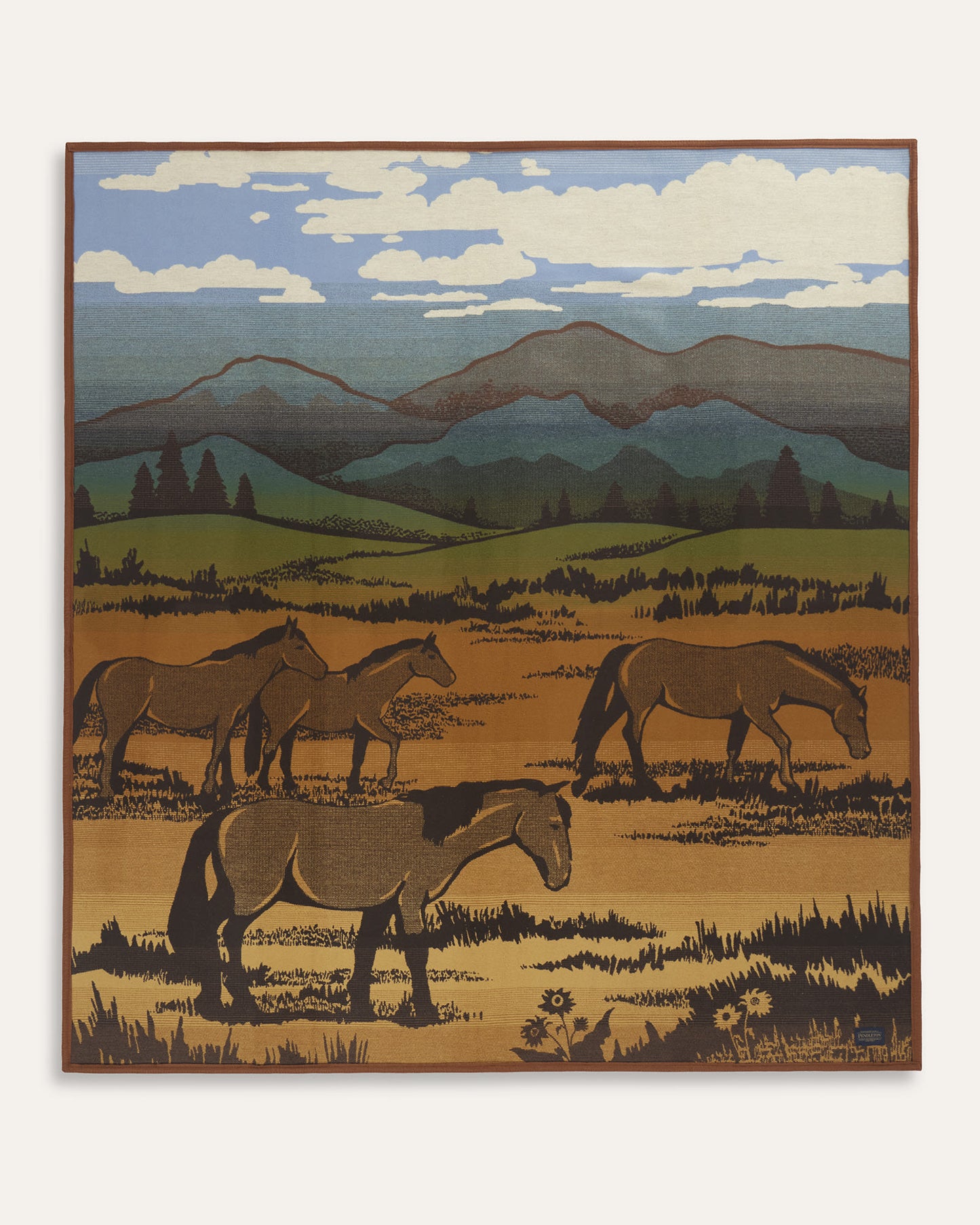 Shadow Mountain Blanket