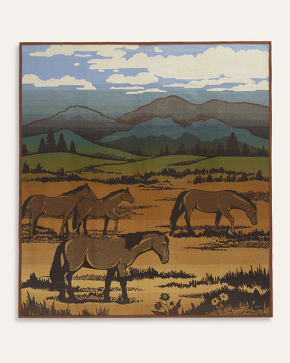 Shadow Mountain Blanket