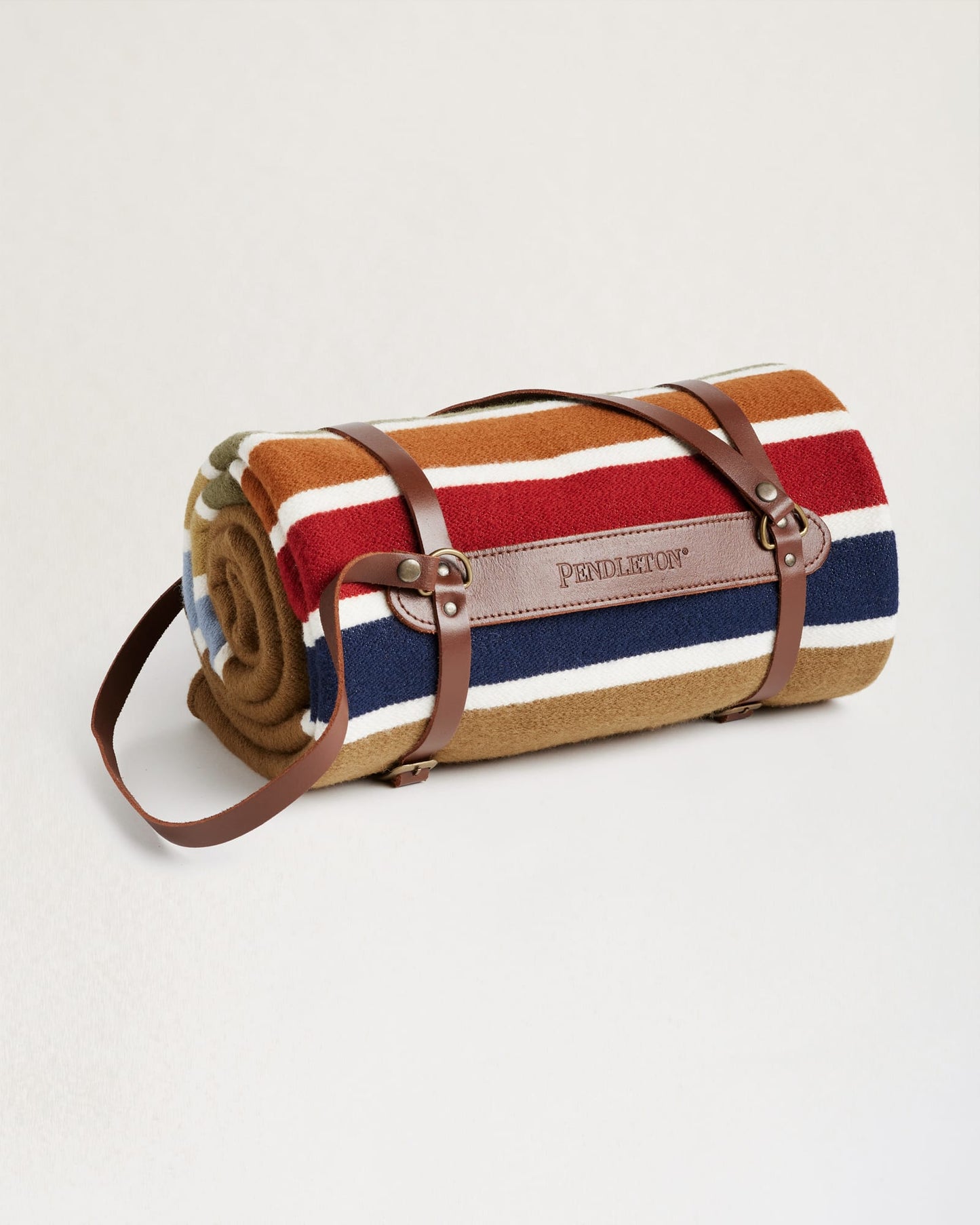 Joshua Tree National Park Throw With Carrier | Camel