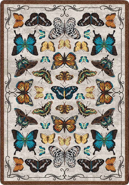 English Collector Cabinet | Butterfly Multi