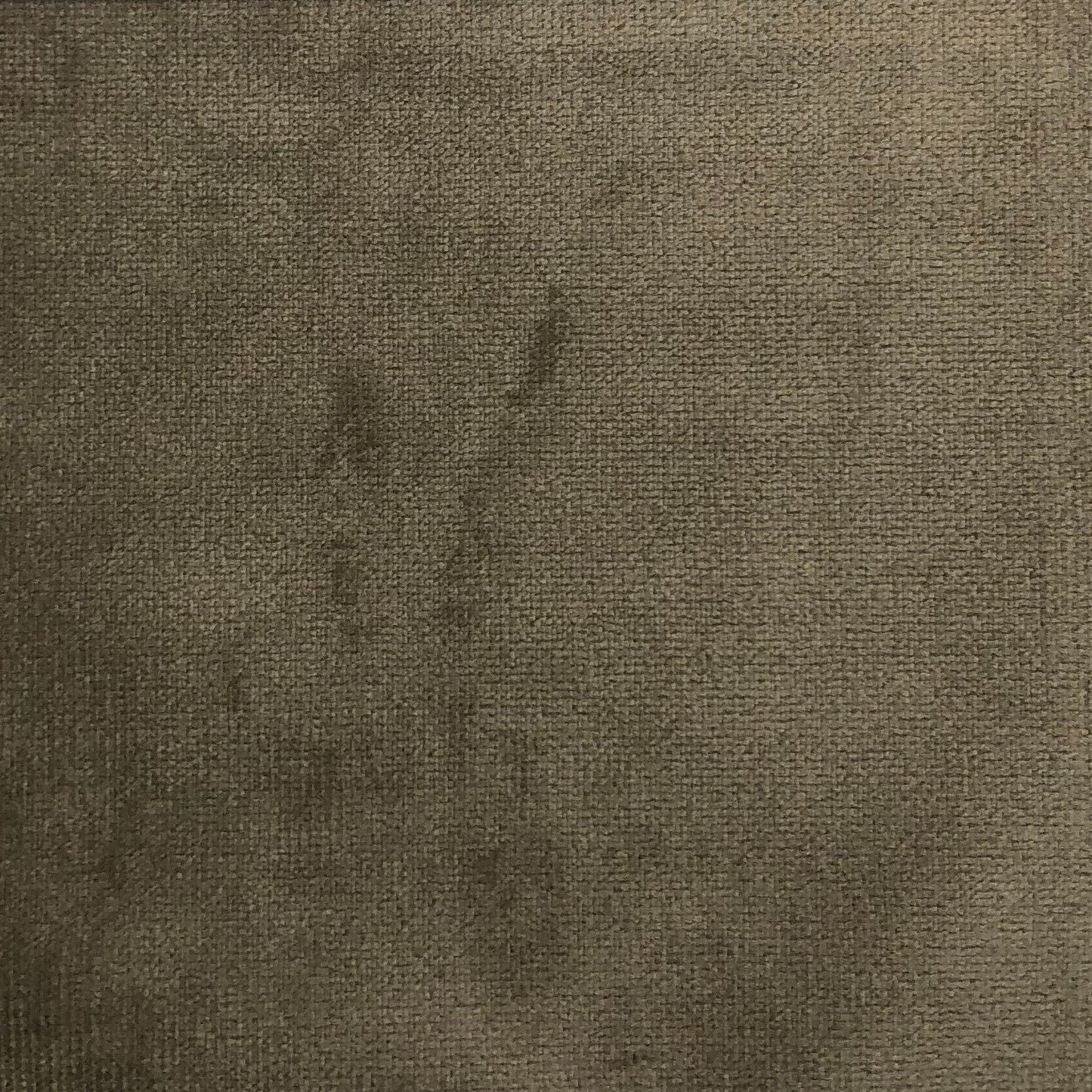 Sand Velvet Swatch