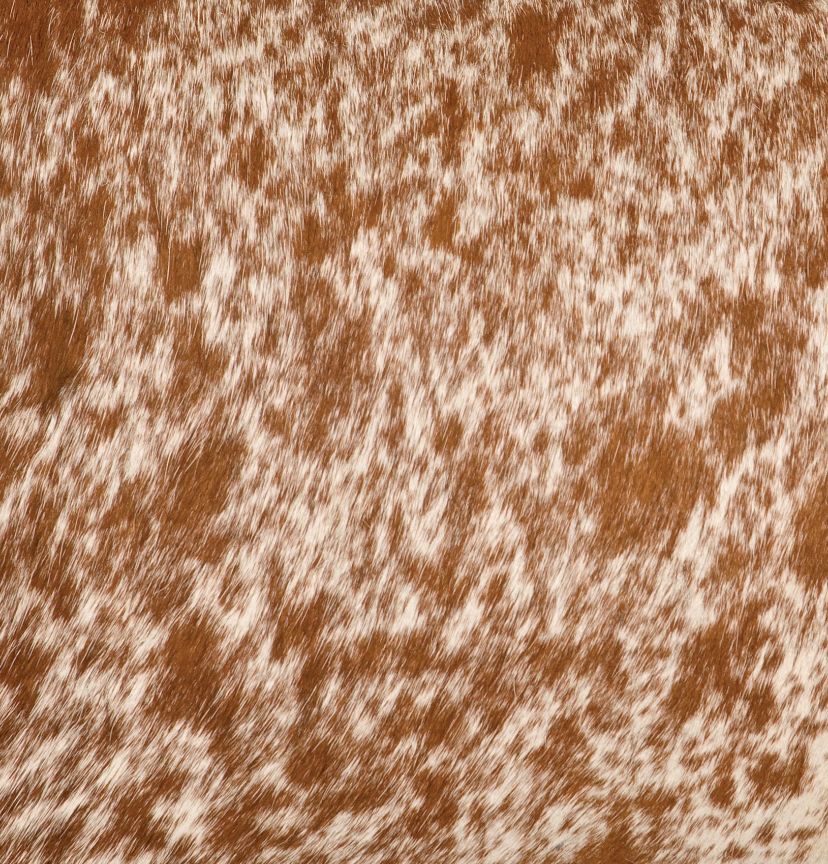 Speckled Light Brown Hair on Hide - Wooded River Upgrade Leather by the Square Foot