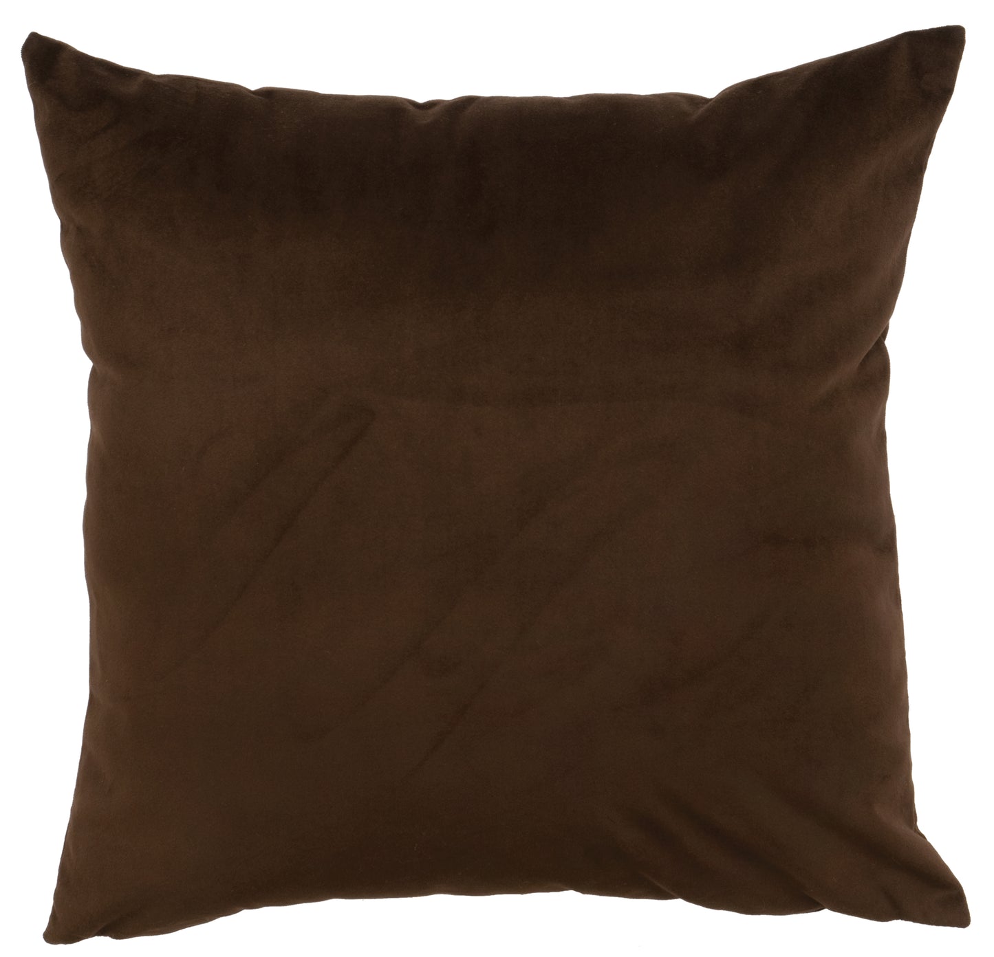 Wooded River Hudson Earth Euro Sham