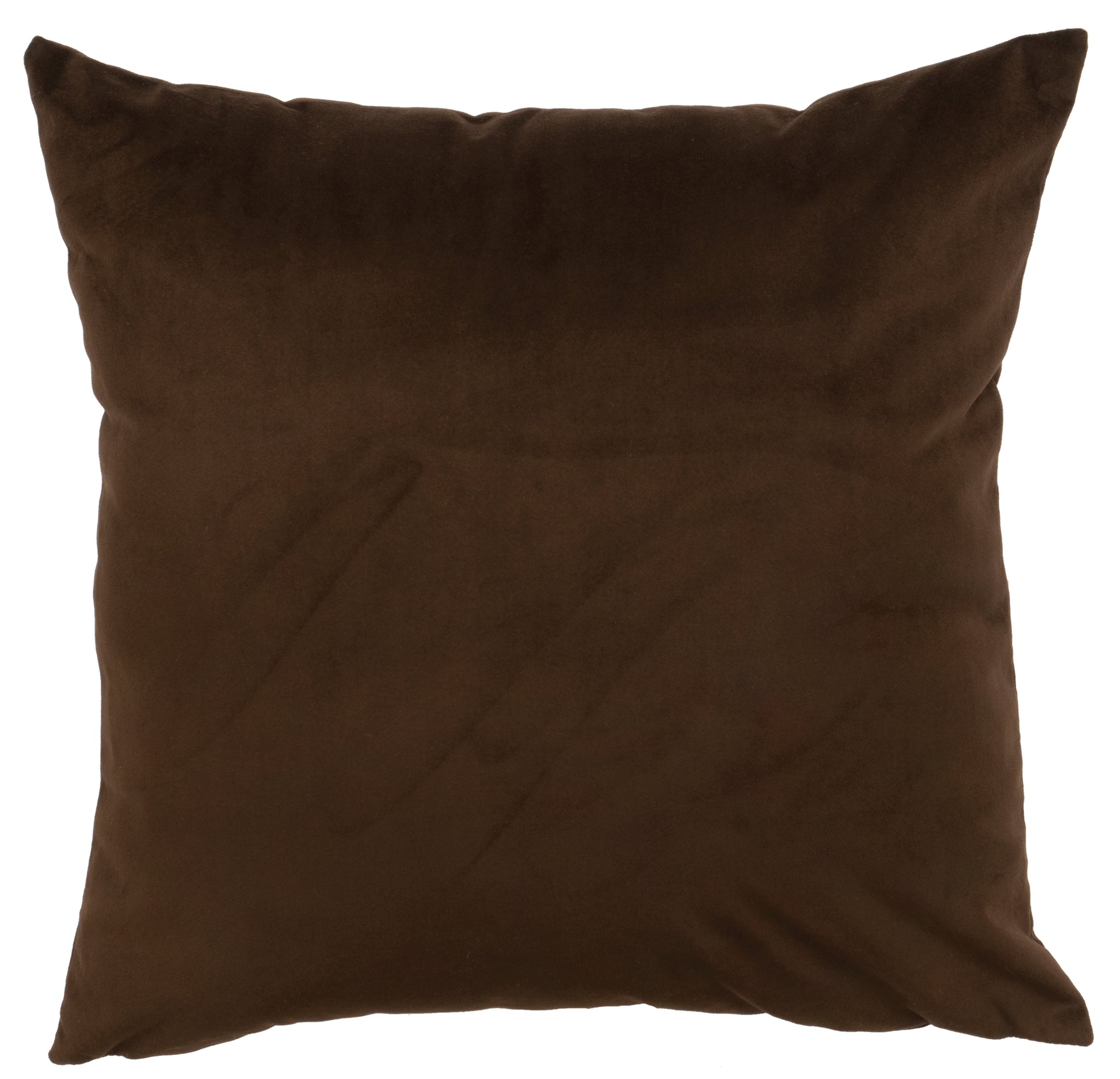 Wooded River Hudson Earth Euro Sham