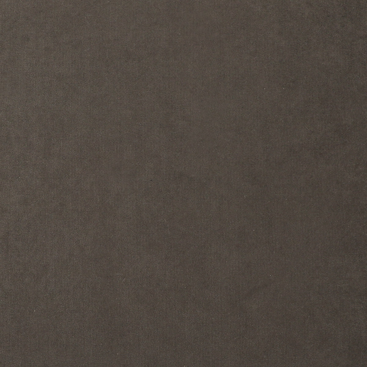 Backcountry Ashen - Wooded River Fabric by the Yard - Grade 20;Backcountry Ashen - Wooded River Fabric by the Yard - Grade 20 - View 2
