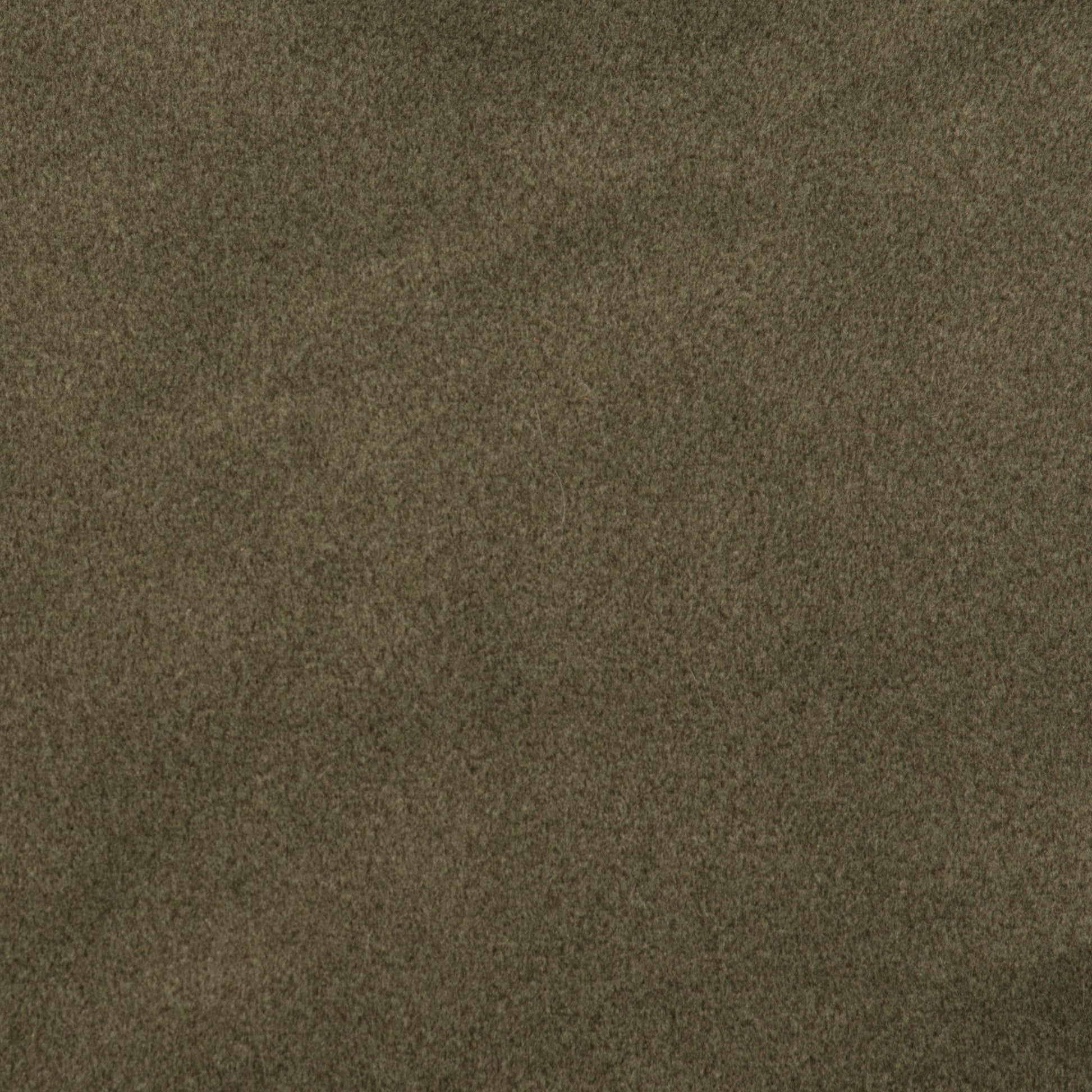 Comfy Olive - Wooded River Fabric by the Yard - Grade 10;Comfy Olive - Wooded River Fabric by the Yard - Grade 10 - View 2