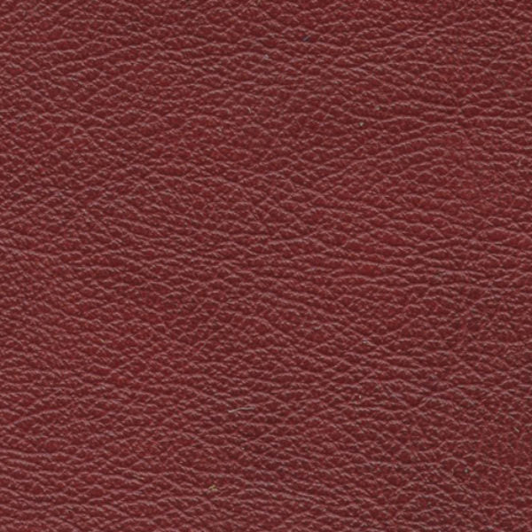 Salvador Caboose - Wooded River Leather by the Square Foot
