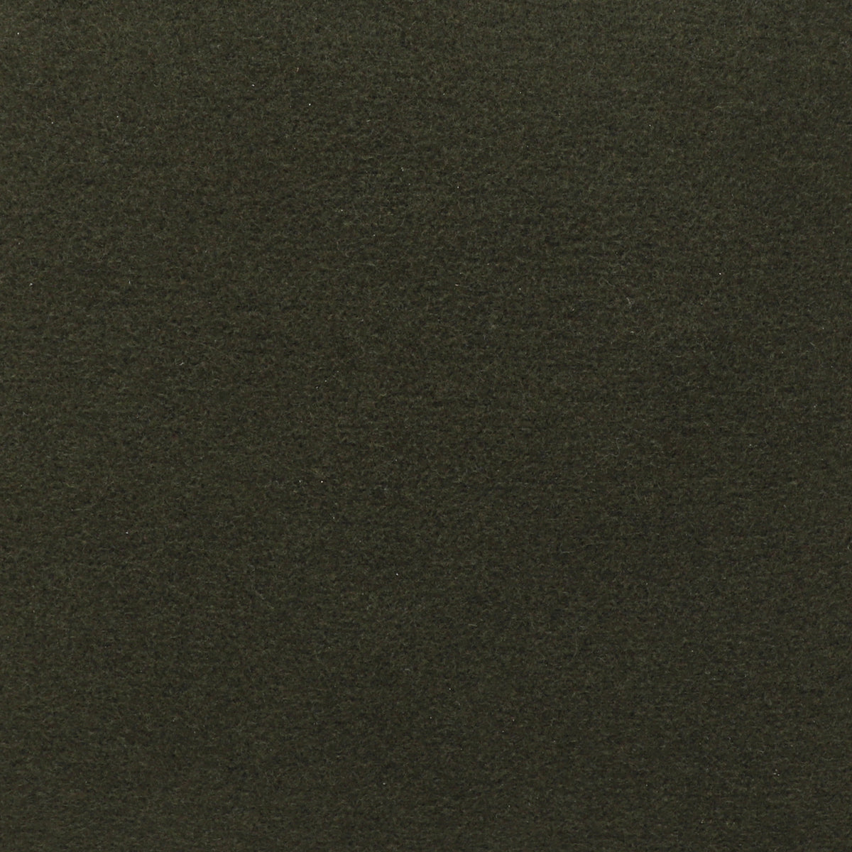 Solid Sage - Wooded River Fabric by the Yard - Grade 30;Solid Sage - Wooded River Fabric by the Yard - Grade 30 - View 2