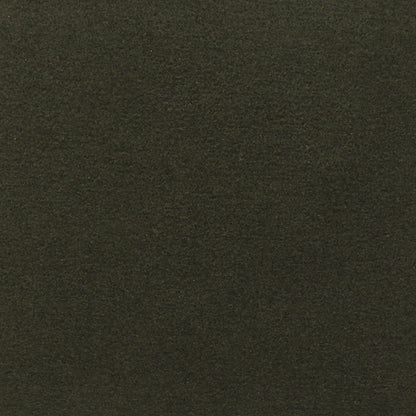 Solid Sage - Wooded River Fabric by the Yard - Grade 30;Solid Sage - Wooded River Fabric by the Yard - Grade 30 - View 2