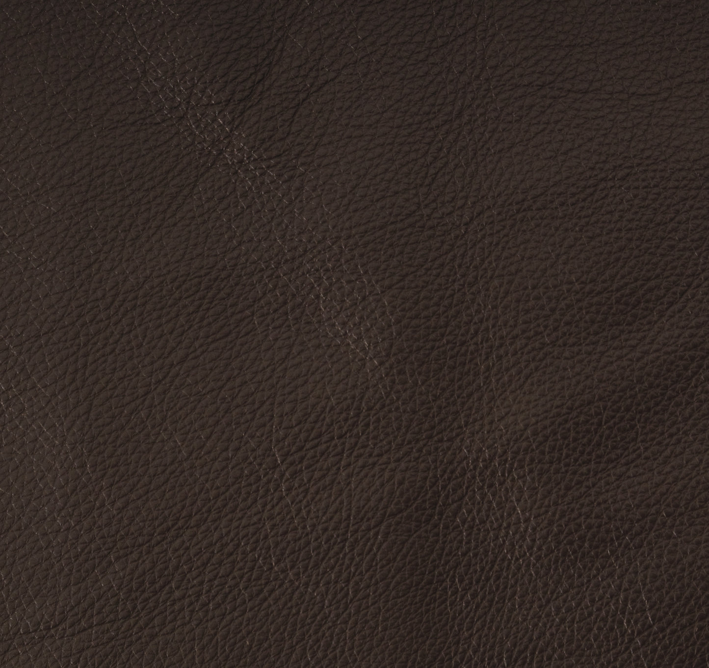 Evolution Java - Wooded River Leather by the Square Foot