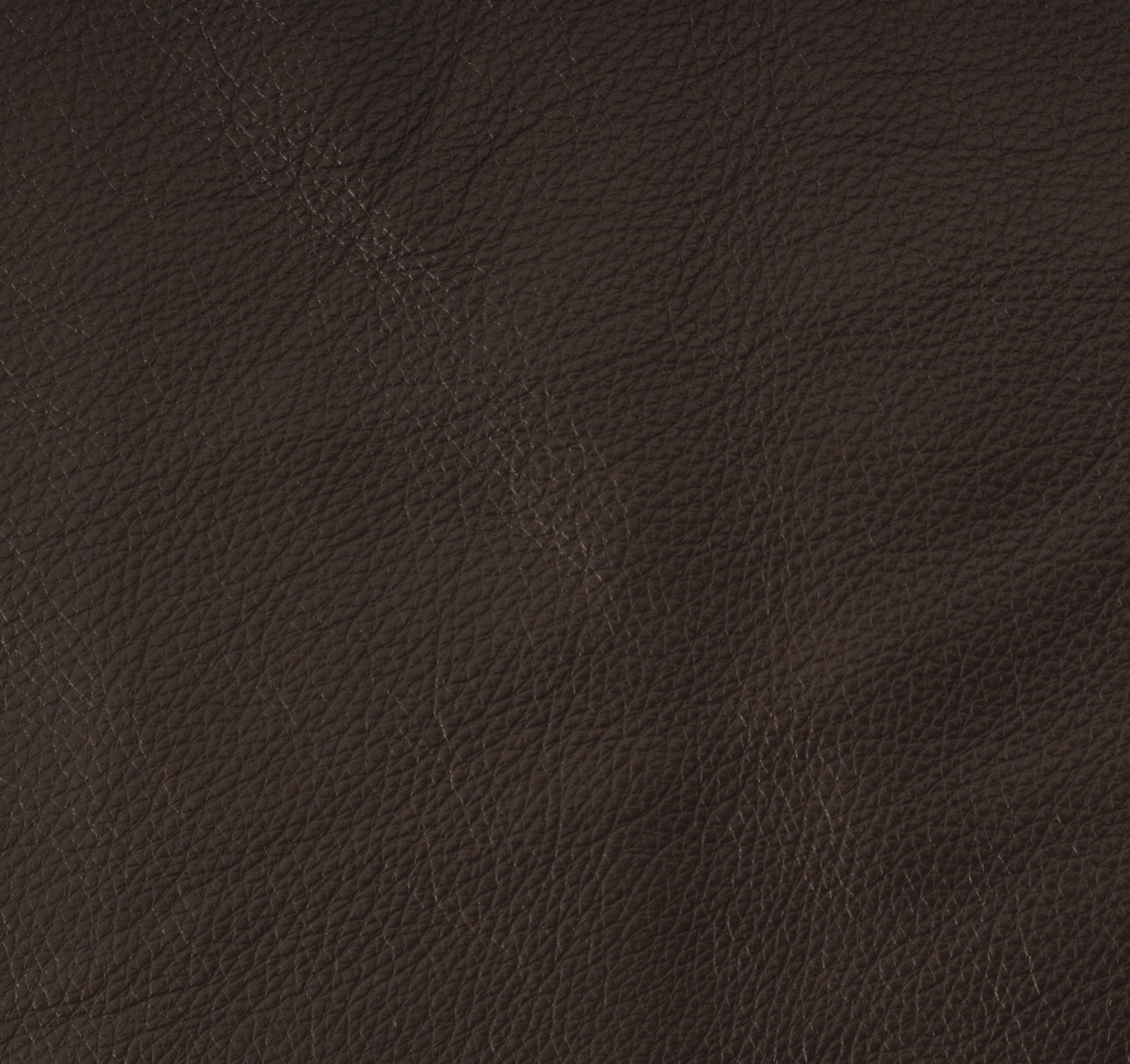 Evolution Java - Wooded River Leather by the Square Foot