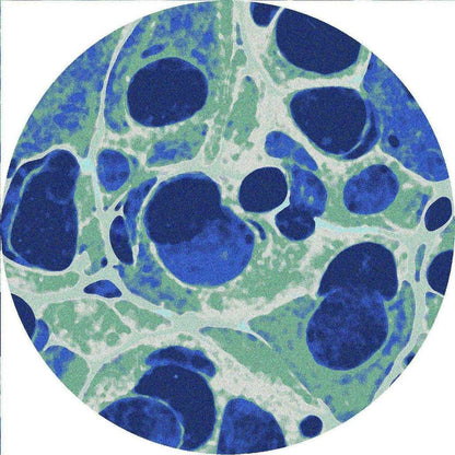 Ocean Foam Rug – Sea Foam – pattern detail